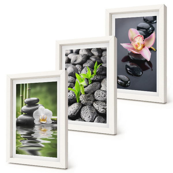 Trittico incorniciato Una pacifica composizione zen di pietre e fiori sull'acqua.