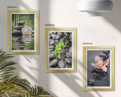 Trittico incorniciato Una pacifica composizione zen di pietre e fiori sull'acqua.