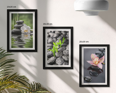 Trittico incorniciato Una pacifica composizione zen di pietre e fiori sull'acqua.