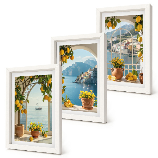 Composizione di 3 quadri Cittadina di mare, limoni e fiori in vaso