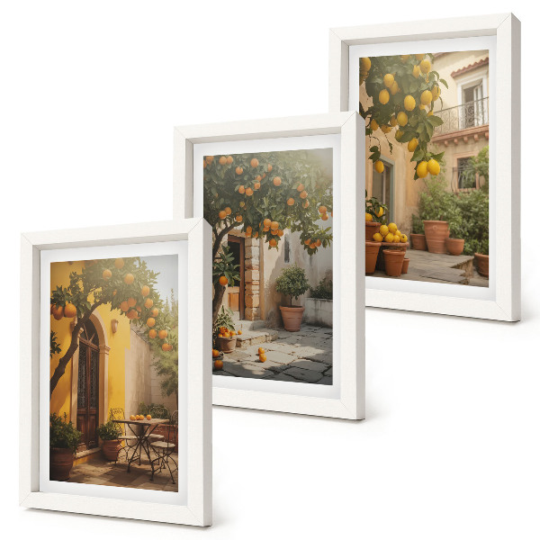 Trittico incorniciato Patio soleggiato con alberi di agrumi e vasi