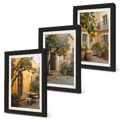 Composizione di 3 quadri Un giardino con alberi di agrumi in un ambiente soleggiato