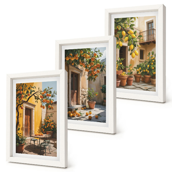 Trittico incorniciato Agrumi in un cortile soleggiato con piante