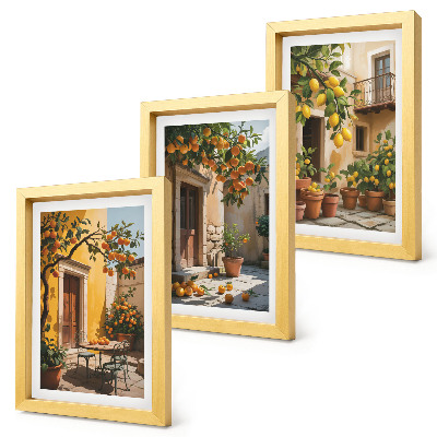 Trittico incorniciato Agrumi in un cortile soleggiato con piante
