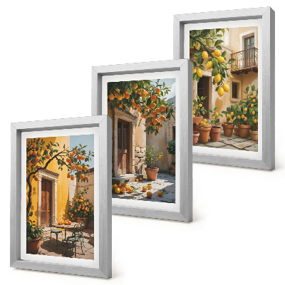 Trittico incorniciato Agrumi in un cortile soleggiato con piante