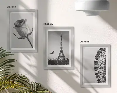 Trittico incorniciato con stampa della Torre Eiffel rosa e della ruota panoramica in bianco e nero