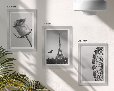 Trittico incorniciato Torre Eiffel rosa e ruota panoramica in bianco e nero