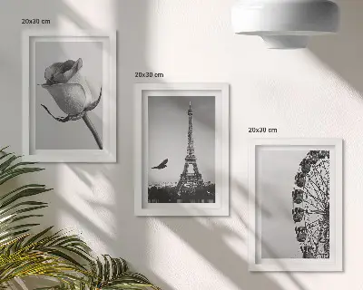 Trittico incorniciato con stampa della Torre Eiffel rosa e della ruota panoramica in bianco e nero