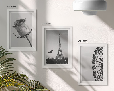 Trittico incorniciato Torre Eiffel rosa e ruota panoramica in bianco e nero