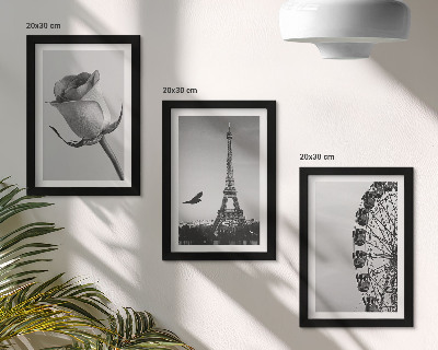 Trittico incorniciato Torre Eiffel rosa e ruota panoramica in bianco e nero