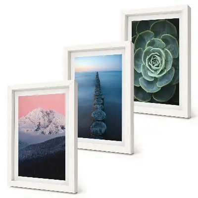 Trittico incorniciato con montagna, cielo rosa, acqua e piante grasse verdi