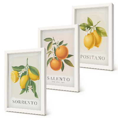 Trittico incorniciato Limoni e arance della Costiera Amalfitana, in Italia.