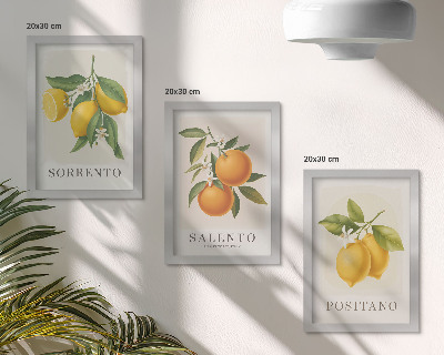 Trittico incorniciato Limoni e arance della Costiera Amalfitana, in Italia.