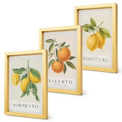 Trittico incorniciato con limoni e arance della Costiera Amalfitana