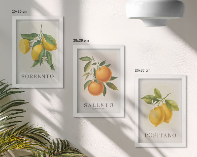 Trittico incorniciato Limoni e arance della Costiera Amalfitana, in Italia.