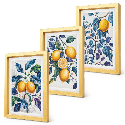 Composizione di 3 quadri Limoni su rami con foglie blu