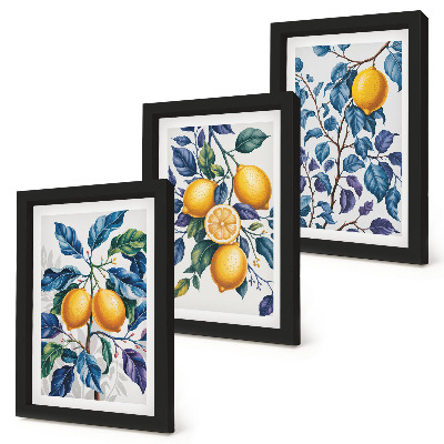 Composizione di 3 quadri Limoni su rami con foglie blu