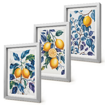 Composizione di 3 quadri Limoni su rami con foglie blu