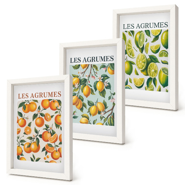 Composizione di 3 quadri Motivi fruttati agrumati in colori pastello