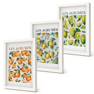 Composizione di 3 quadri motivi fruttati e agrumati con colori pastello