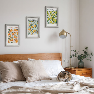 Composizione di 3 quadri Motivi fruttati agrumati in colori pastello