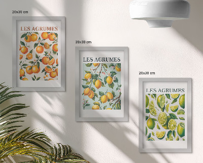 Composizione di 3 quadri Motivi fruttati agrumati in colori pastello
