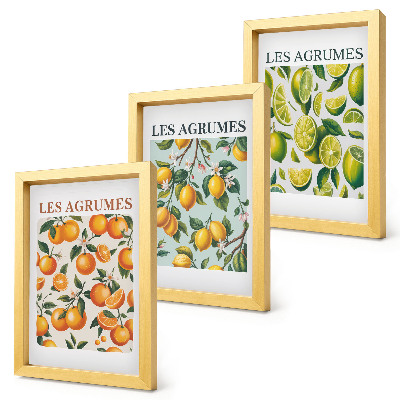 Composizione di 3 quadri Motivi fruttati agrumati in colori pastello