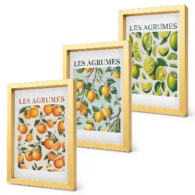 Composizione di 3 quadri motivi fruttati e agrumati con colori pastello