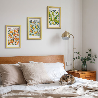 Composizione di 3 quadri Motivi fruttati agrumati in colori pastello