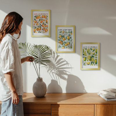 Composizione di 3 quadri Motivi fruttati agrumati in colori pastello
