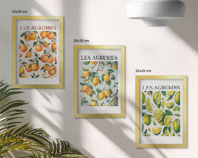 Composizione di 3 quadri Motivi fruttati agrumati in colori pastello