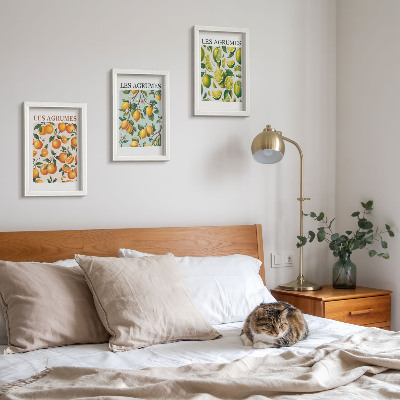 Composizione di 3 quadri Motivi fruttati agrumati in colori pastello