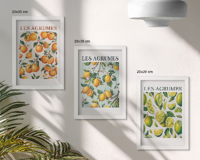 Composizione di 3 quadri Motivi fruttati agrumati in colori pastello