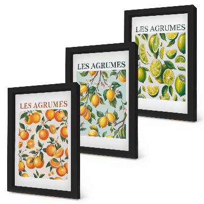 Composizione di 3 quadri Motivi fruttati agrumati in colori pastello