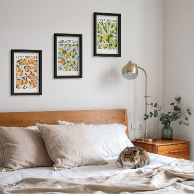 Composizione di 3 quadri Motivi fruttati agrumati in colori pastello