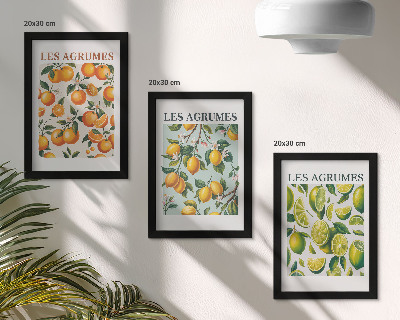 Composizione di 3 quadri Motivi fruttati agrumati in colori pastello