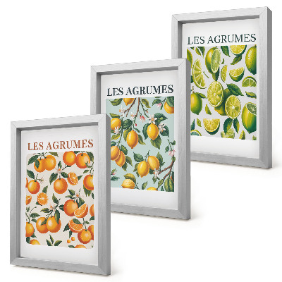 Composizione di 3 quadri Motivi fruttati agrumati in colori pastello