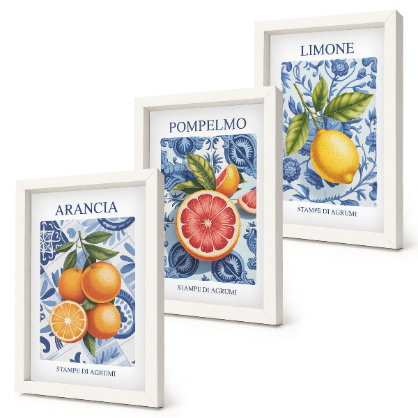 Composizione di 3 quadri Illustrazioni vintage di agrumi