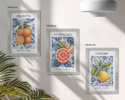 Composizione di 3 quadri Illustrazioni vintage di agrumi