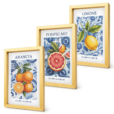 Composizione di 3 quadri Illustrazioni vintage di agrumi