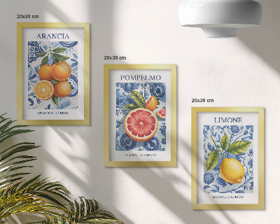 Composizione di 3 quadri Illustrazioni vintage di agrumi