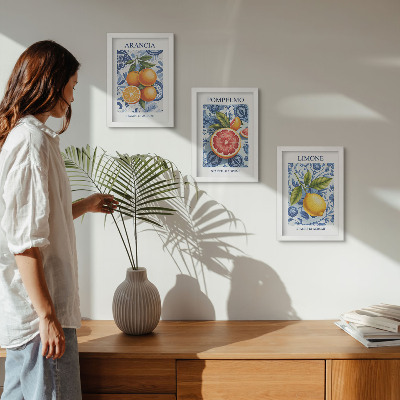 Composizione di 3 quadri Illustrazioni vintage di agrumi