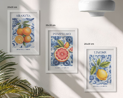 Composizione di 3 quadri Illustrazioni vintage di agrumi