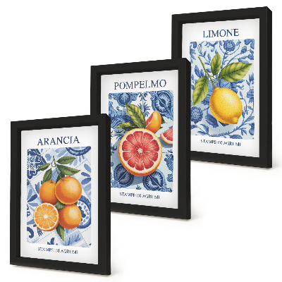 Composizione di 3 quadri Illustrazioni vintage di agrumi