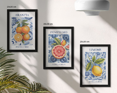 Composizione di 3 quadri Illustrazioni vintage di agrumi