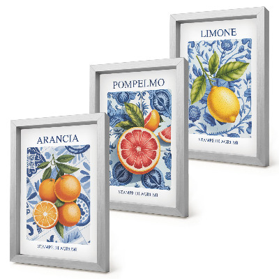 Composizione di 3 quadri Illustrazioni vintage di agrumi