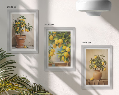 Composizione di 3 quadri Alberi di limoni in vaso e fioriere