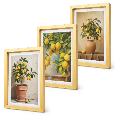 Composizione di 3 quadri Alberi di limoni in vaso e fioriere