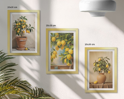 Composizione di 3 quadri Alberi di limoni in vaso e fioriere