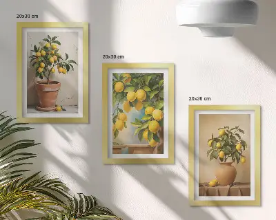 Alberi di limoni in vaso e fioriere composizione di 3 quadri